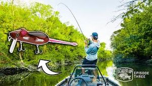 Video post by @tylersreelfishing on YouTube