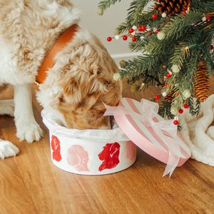 Image post by @disneypets on Instagram