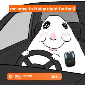 Image post by @HudlFootball on Twitter