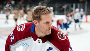 Image post by @Avalanche on Twitter/X