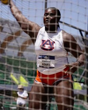 Image post by @auburntfxc on Instagram