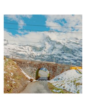 Image post by @connorpickett on Instagram