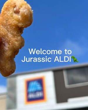 Video post by @aldiusa on TikTok
