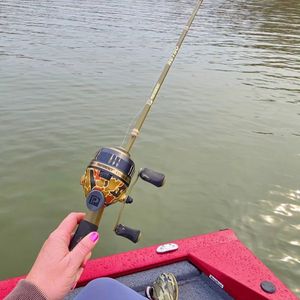 Image post by @profishiency on Instagram