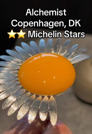 Video post by @highspeeddining on TikTok