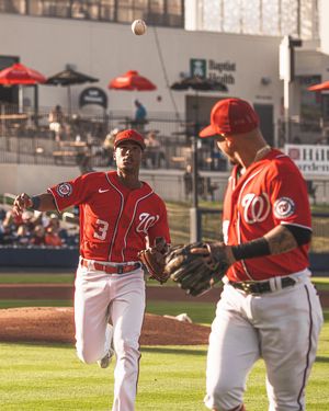 Image post by @bogarcreative on Instagram