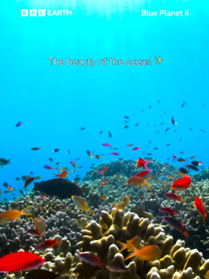 Video post by @bbcearth on TikTok