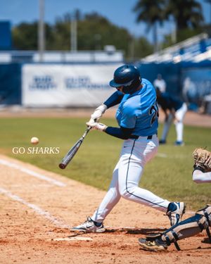 Image post by @nsu_baseball on Instagram