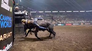 Video post by @pbr on YouTube