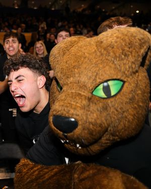 Image post by @rocthepanther on Instagram