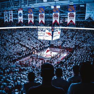 Image post by @razorbackology on Instagram