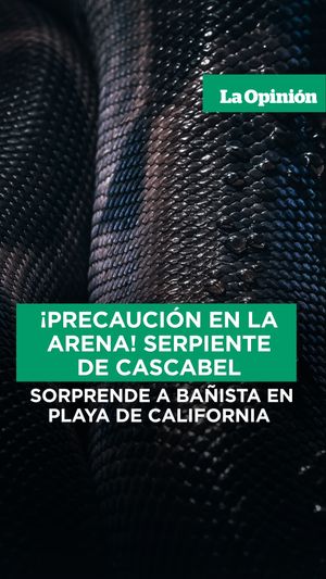 Image post by @laopinionla on Instagram