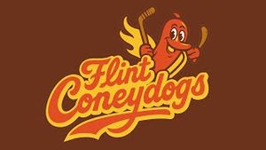 Video post by @flintfirebirdshockey on YouTube