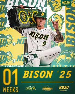 Image post by @ndsubaseball on Instagram