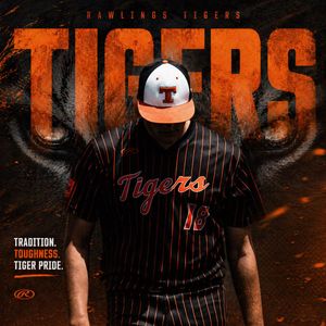 Image post by @rawlingstigers on Instagram