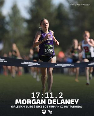 Image post by @dyestat on Instagram