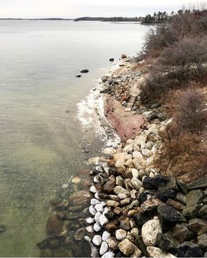 Image post by @themainemag on Instagram