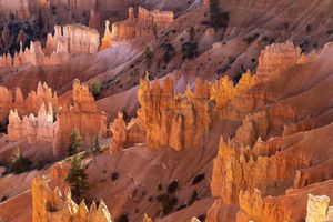 Image post by @nationalparkscollective on Instagram