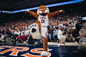 Image post by @aubiethetiger01 on Instagram
