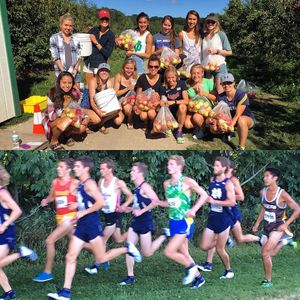 Image post by @ndxctf on Instagram