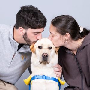 Image post by @canineorg on Instagram