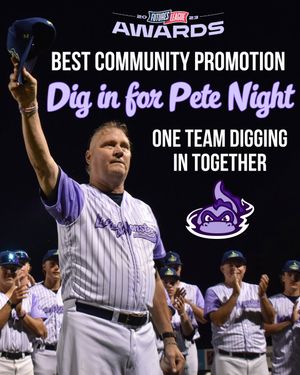 Image post by @vermontlakemonsters on Instagram