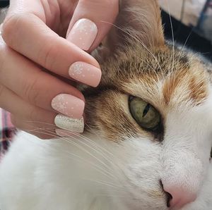 Image post by @impresslashes on Instagram