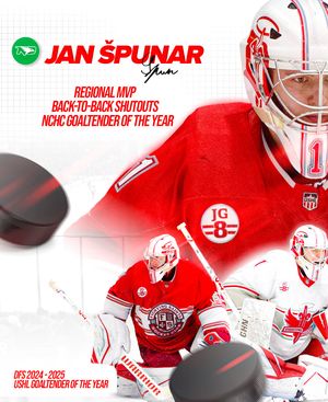 Image post by @fightingsaints on Instagram