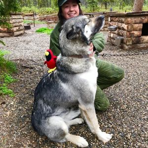 Image post by @smusid on Instagram