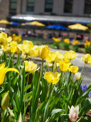 Image post by @hofstrau on Instagram