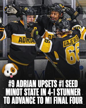 Image post by @hockeyhousepod on Instagram