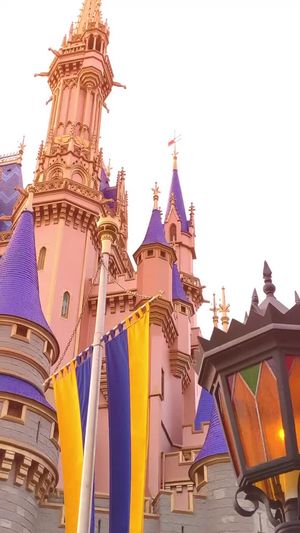Video post by @disneyparks on TikTok