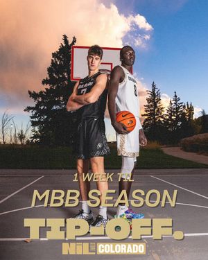 Image post by @colorado.nil.store on Instagram