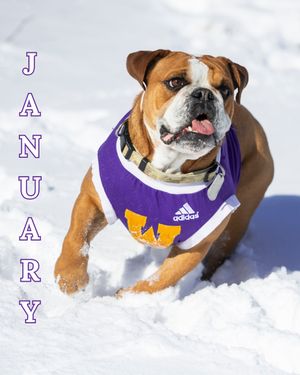 Image post by @westerniluniv on Instagram