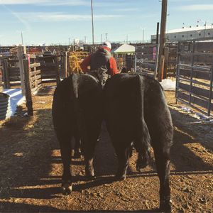 Image post by @nationalwestern on Instagram