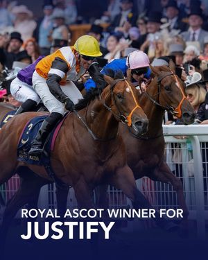 Image post by @coolmoreamerica on Instagram