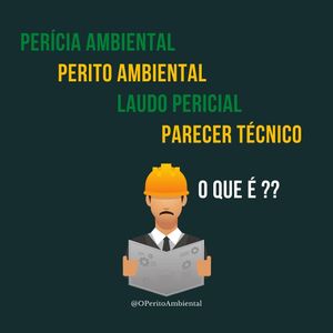 Image post by @operitoambiental on Instagram
