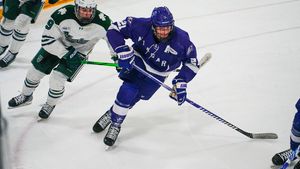 Image post by @NiagaraMHKY on Twitter/X