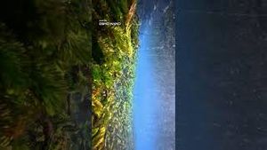Video post by @dji on YouTube
