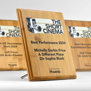 Image post by @trophiesplusmedals on Instagram