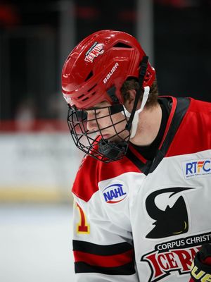 Image post by @iceraysnahl on Instagram