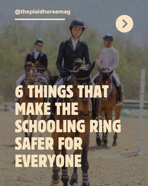 Image post by @theplaidhorsemag on Instagram
