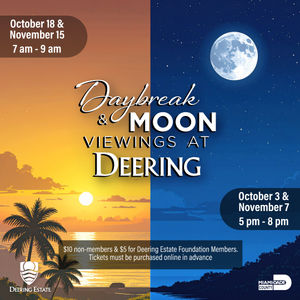 Image post by @deeringestate on Instagram