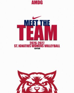 Image post by @sivolleyball on Instagram