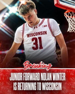 Image post by @rollbadgers on Instagram