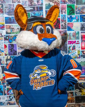 Image post by @swamprabbits on Instagram