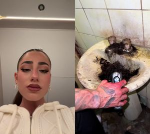 Video post by @lolalolita on TikTok