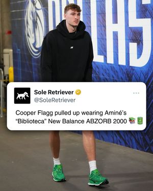 Image post by @soleretriever on Instagram