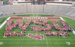 Image post by @wsupullman on Instagram