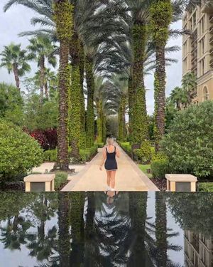 Image post by @fsorlando on Instagram